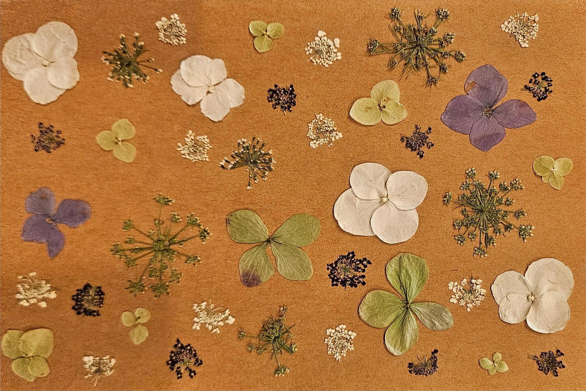 Winter Magic Series Cards 10 pack print cards