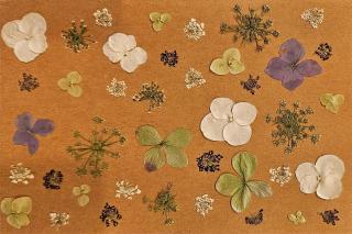 Winter Magic Series Cards 10 pack print cards