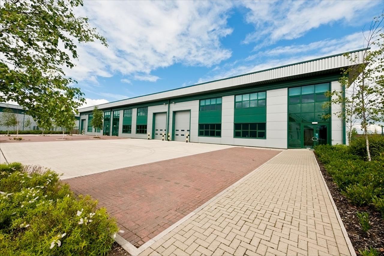 Commercial Window Washing Services