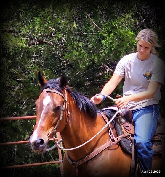 Darylslitlediablo (Diablo)