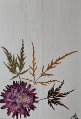 Potpourri Series Cards 10 pack print cards