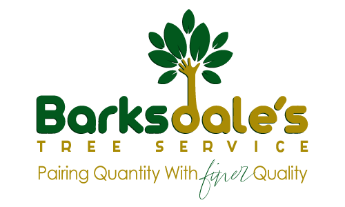 Pairing Quantity with Finer Quality