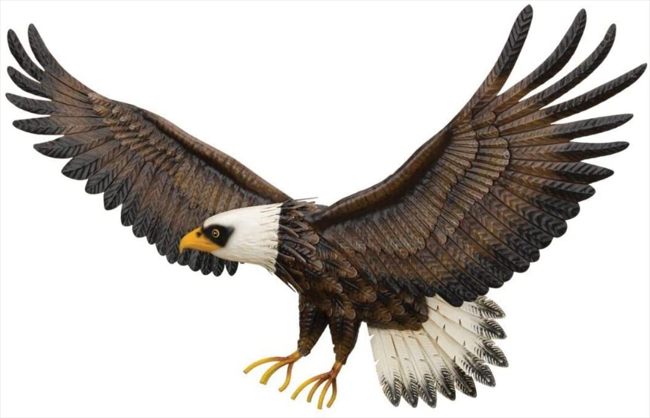 Eagle Decor - Wall Hanging