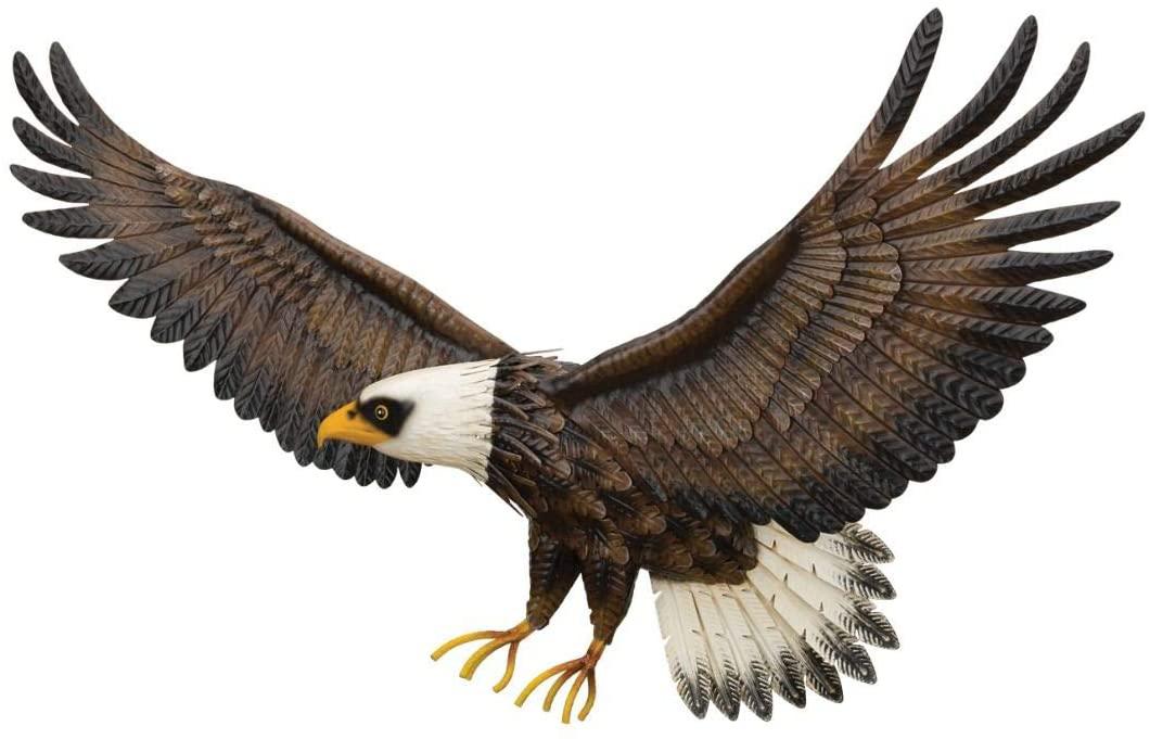 Eagle Decor - Wall Hanging