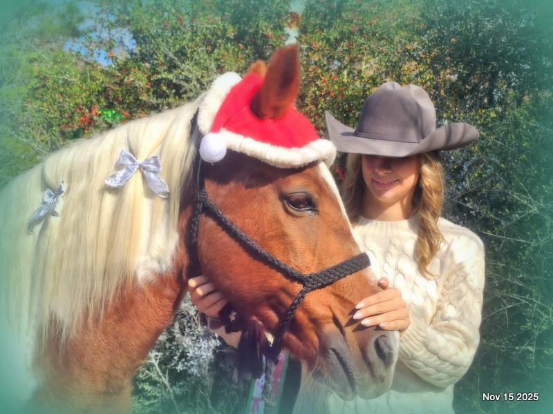 Jazzy – A Warrior Seeking Her Second Chance