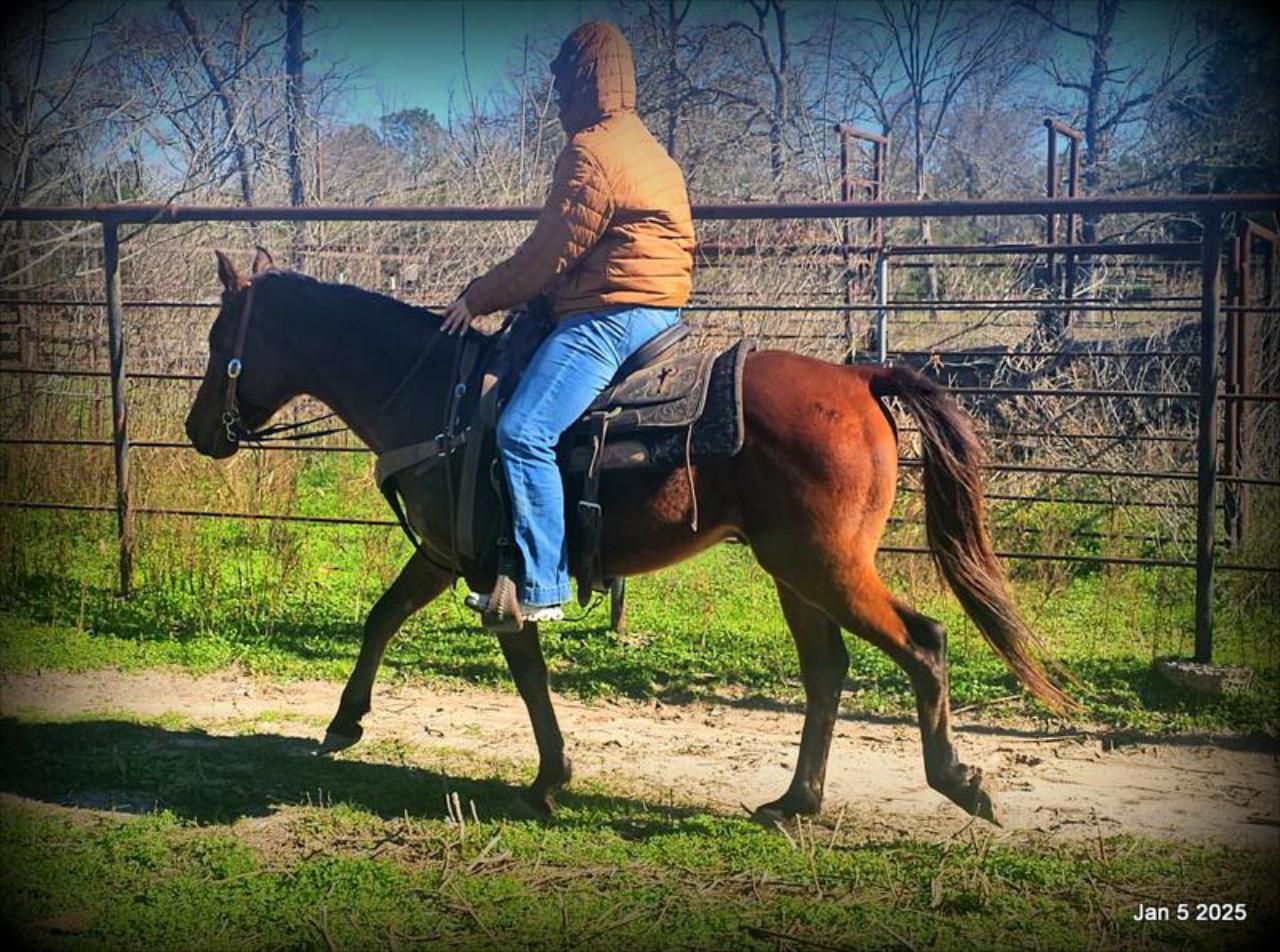 Boomerang