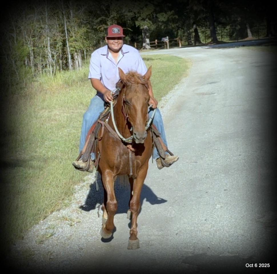 🌹 Meet Missouri – The Mare That Makes Every Ride Feel Like Home 🌹
