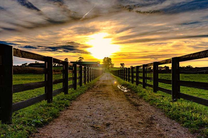 &nbsp;Ranch Roads