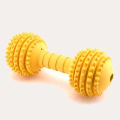 Bone Chew Toy