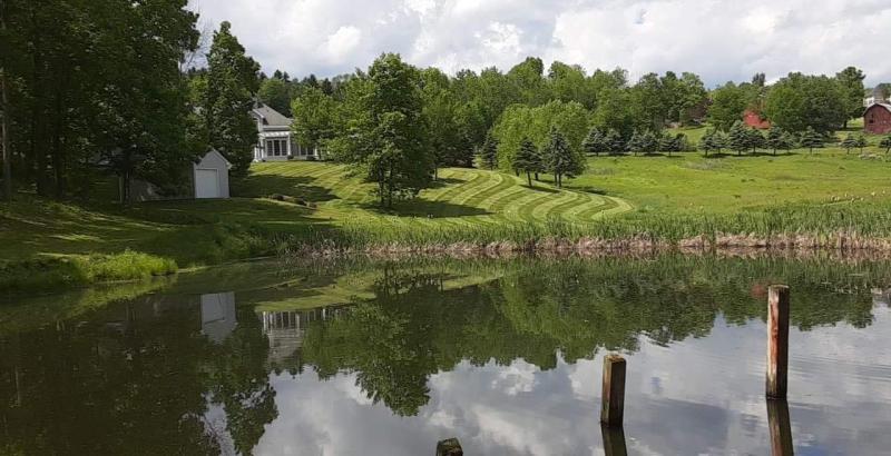 LAWN MOWING &amp; MAINTENANCE