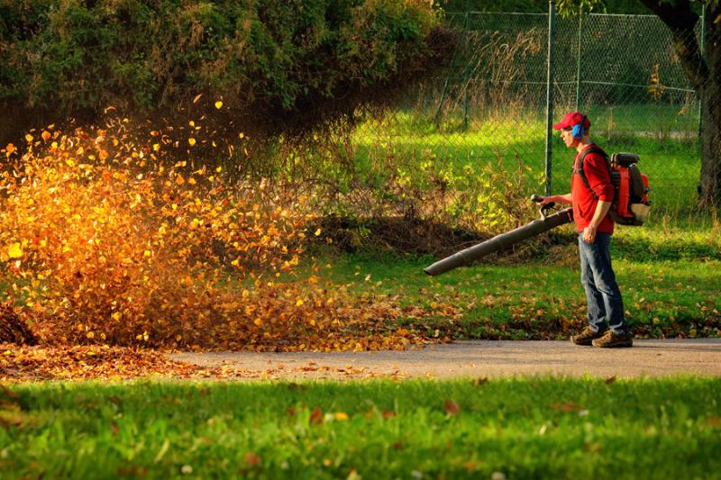 Fall Cleanup Services&nbsp;