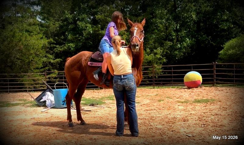 ❤️Mocha❤️Mare with a Story Still Being Written 🌟