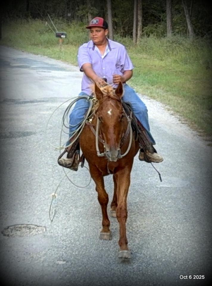 Biggie – Ranch-Tested, Family-Safe, and Ready to Ride!