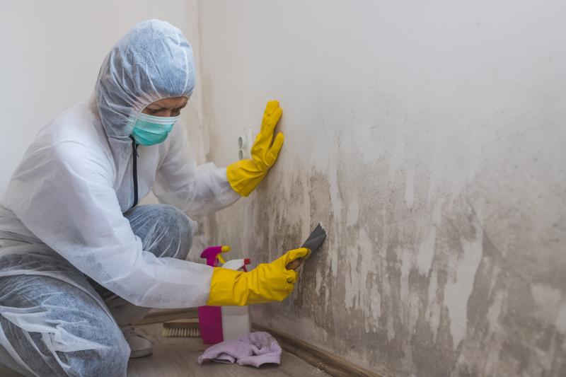 Mold prevention/ Removal