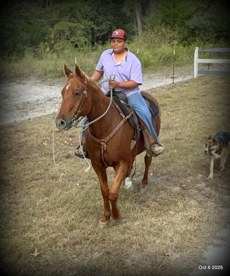 Biggie – Ranch-Tested, Family-Safe, and Ready to Ride!