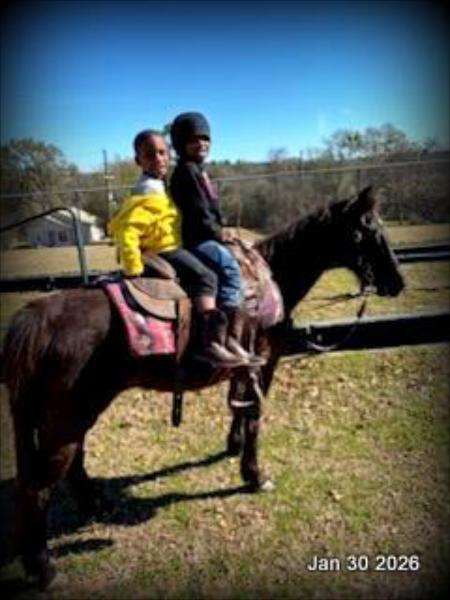 🩷❤️Pixie🩷❤️