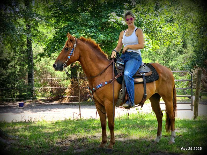 Smart Little Buzz AKA hawk