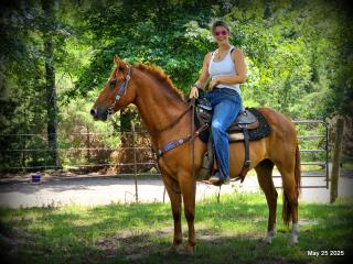 Smart Little Buzz AKA hawk