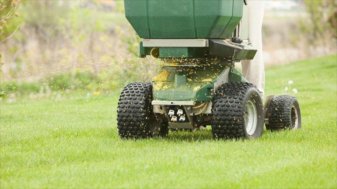 Aeration & Over Seeding