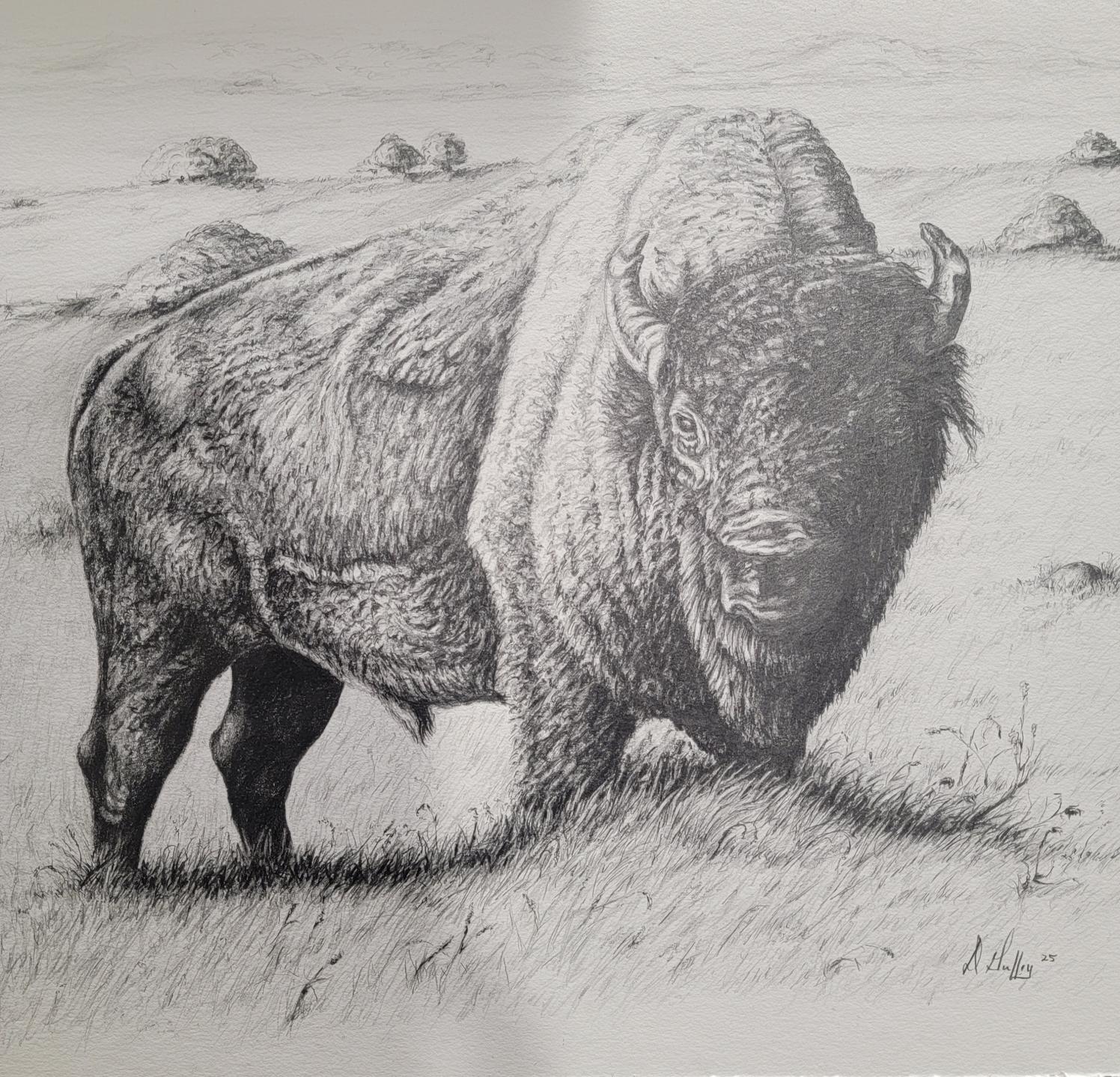 Buffalo