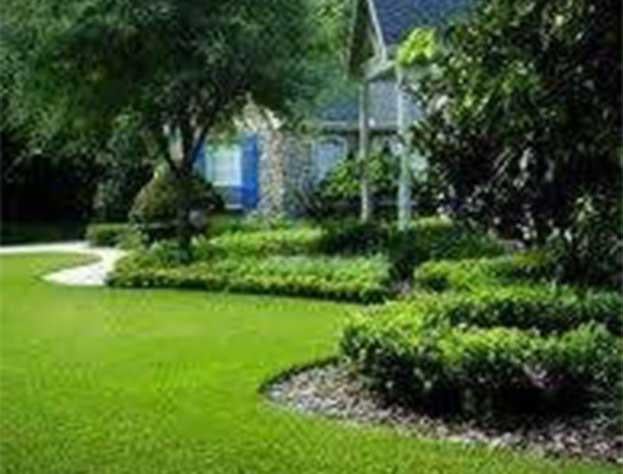 Comprehensive Year-Round Lawn Care and Landscaping