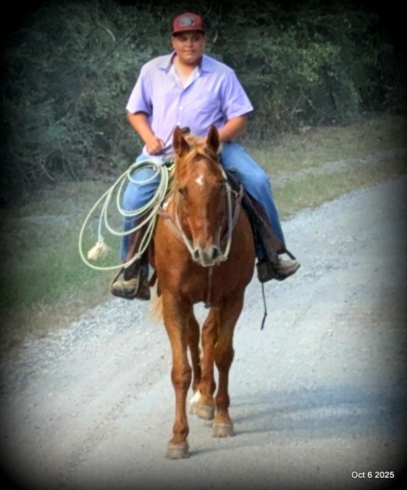 Biggie – Ranch-Tested, Family-Safe, and Ready to Ride!