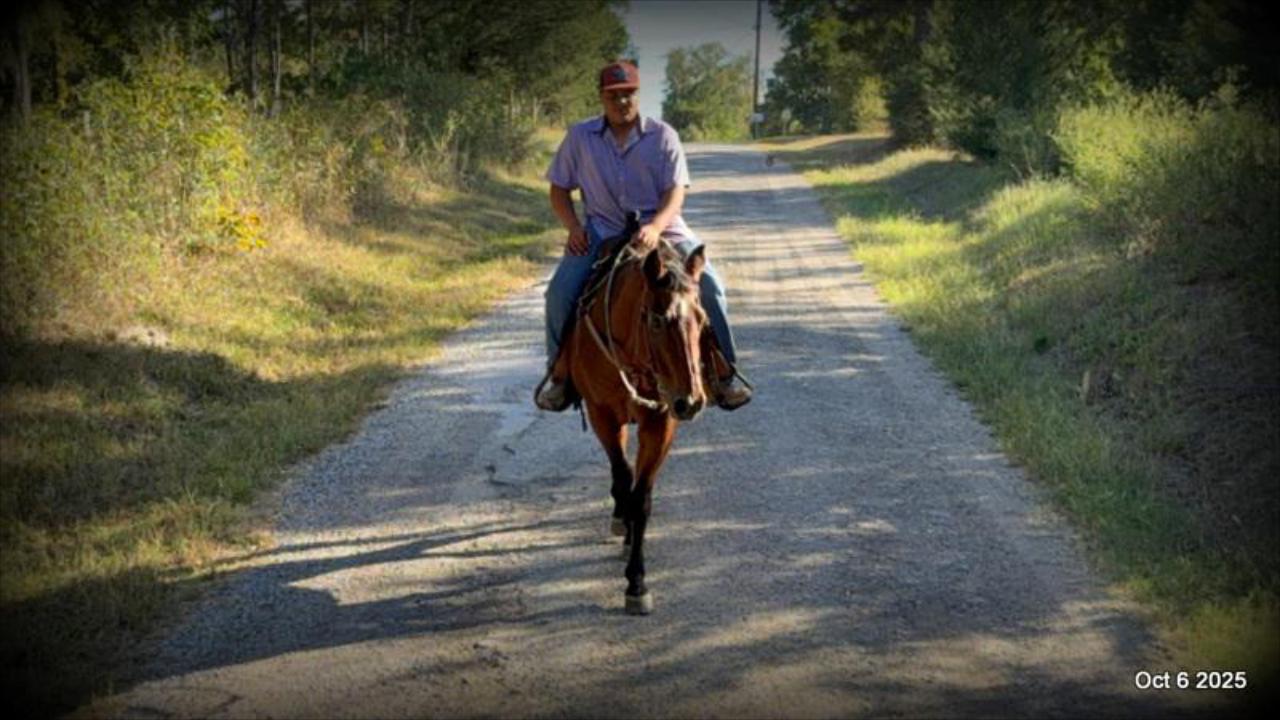 🌟 Meet Brownie – Your All-Around Ranch and Trail Partner 🌟