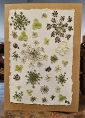 Winter Magic Series Cards 10 pack print cards