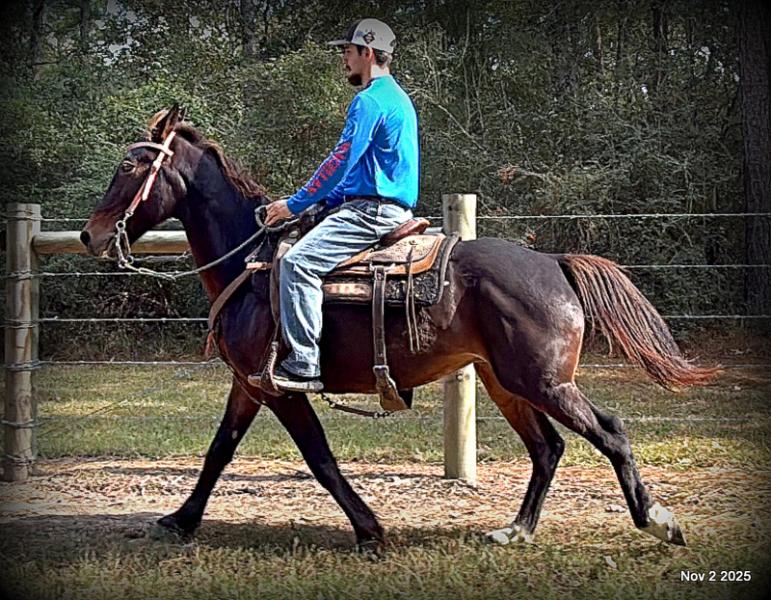 🧡Grace🧡 💔 ✨ The Underdog Who Deserves a Christmas Miracle ✨ 💔