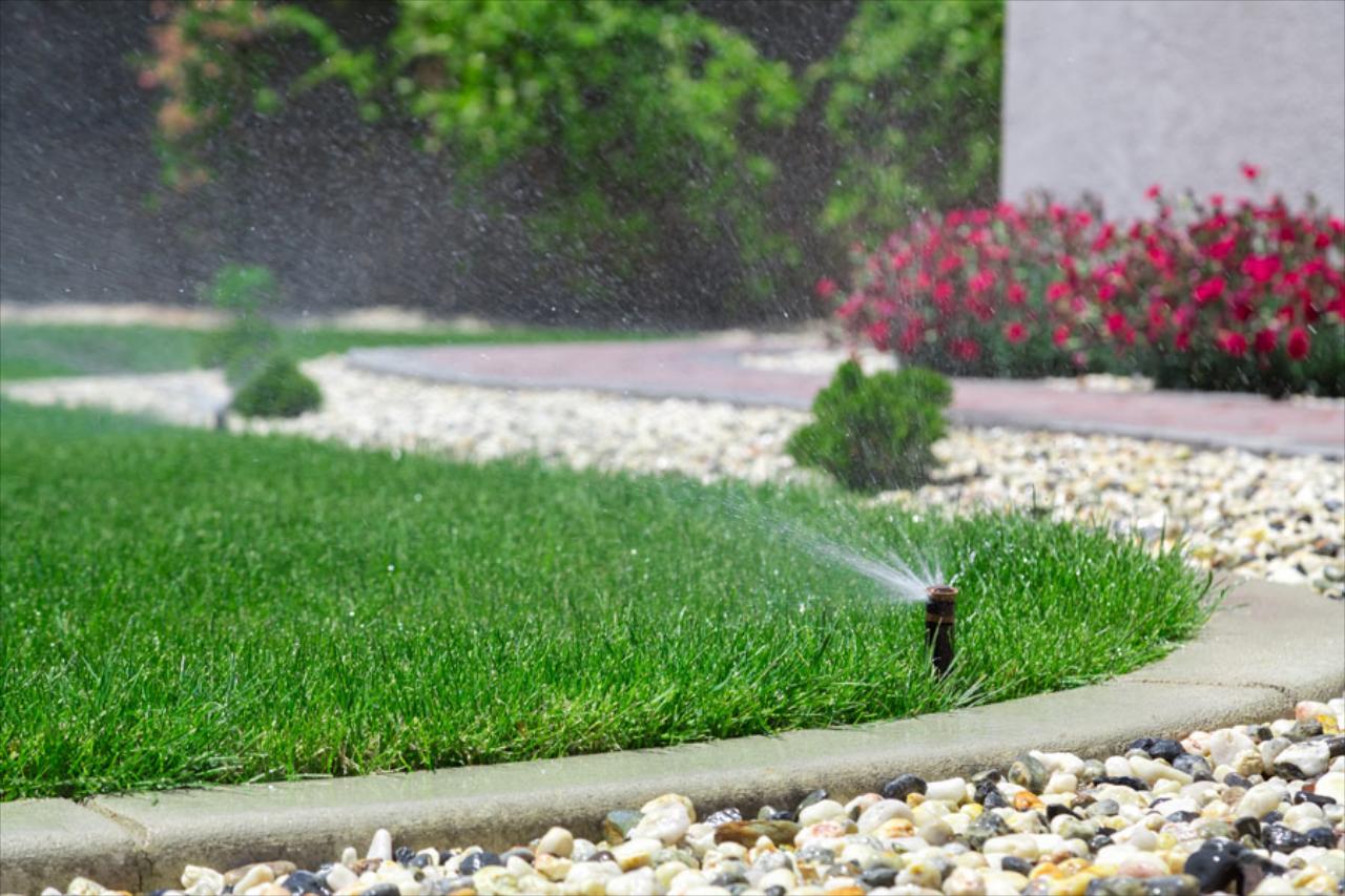 So What Makes a Lawn "Healthy"?