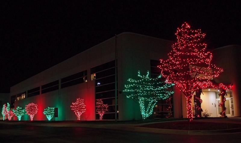 COMMERCIAL CHRISTMAS LIGHTS