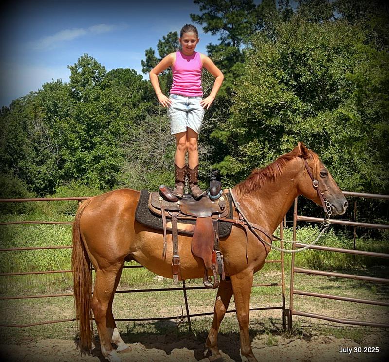 Smart Little Buzz AKA hawk