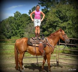 Smart Little Buzz AKA hawk