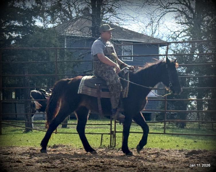 🩷❤️Pixie🩷❤️