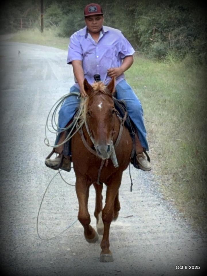 Biggie – Ranch-Tested, Family-Safe, and Ready to Ride!