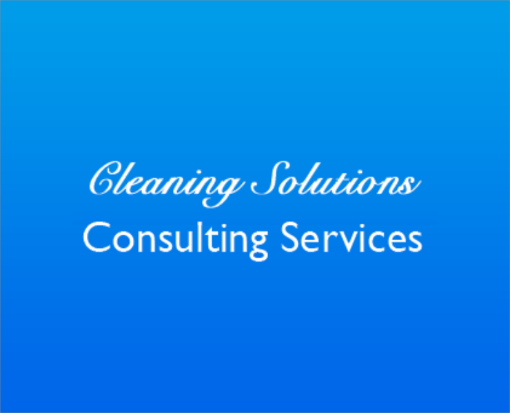 Cleaning Consulting Services