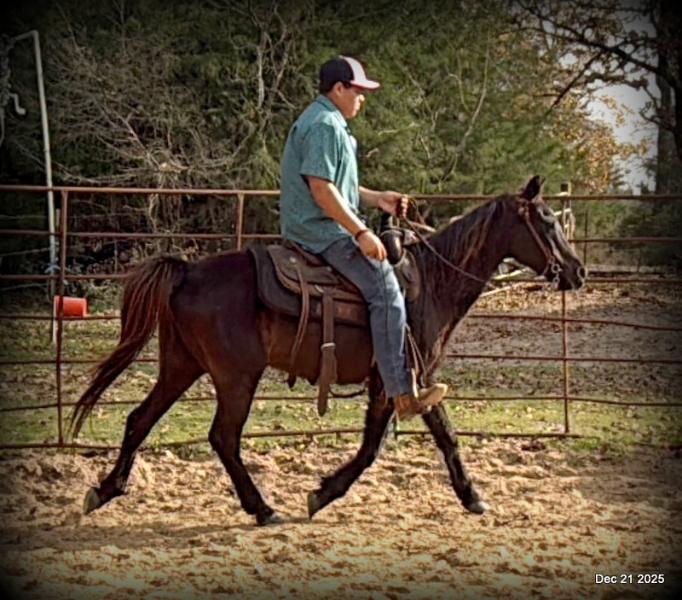 🩷❤️Pixie🩷❤️