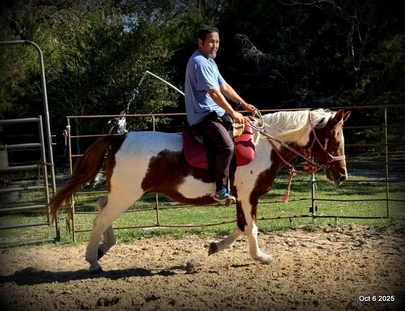 Jazzy – A Warrior Seeking Her Second Chance