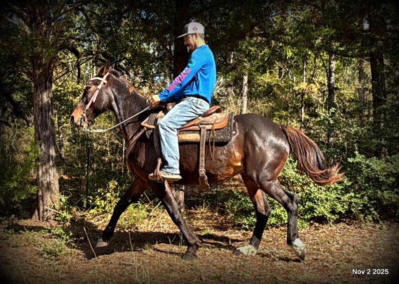 🧡Grace🧡 💔 ✨ The Underdog Who Deserves a Christmas Miracle ✨ 💔