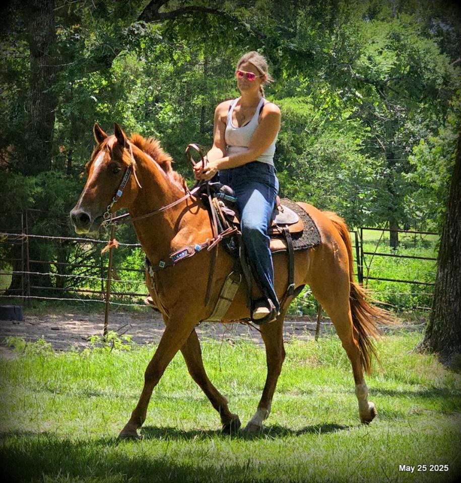 Smart Little Buzz AKA hawk