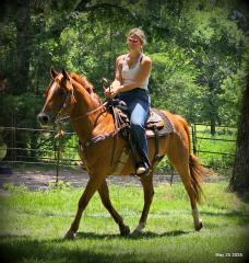 Smart Little Buzz AKA hawk