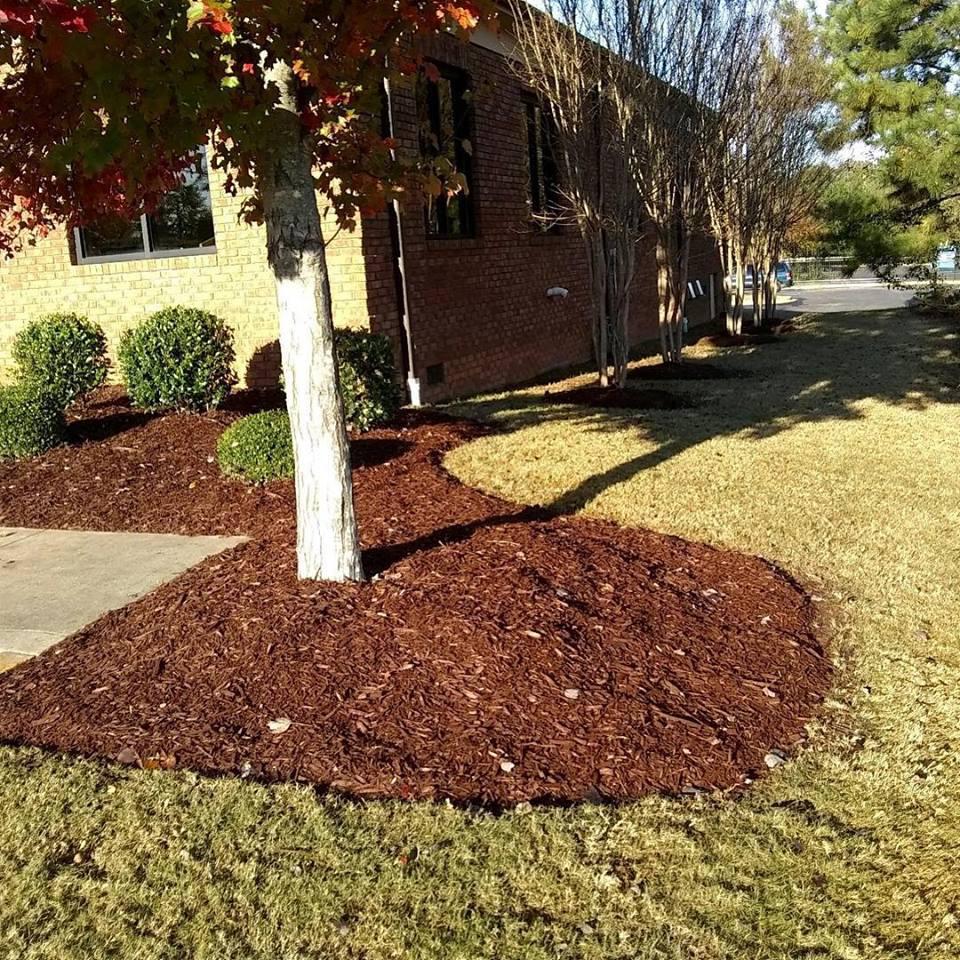 Mulching & Planting
