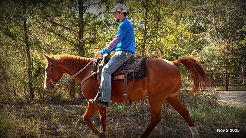 💚Ranger Safe for All Ages💚