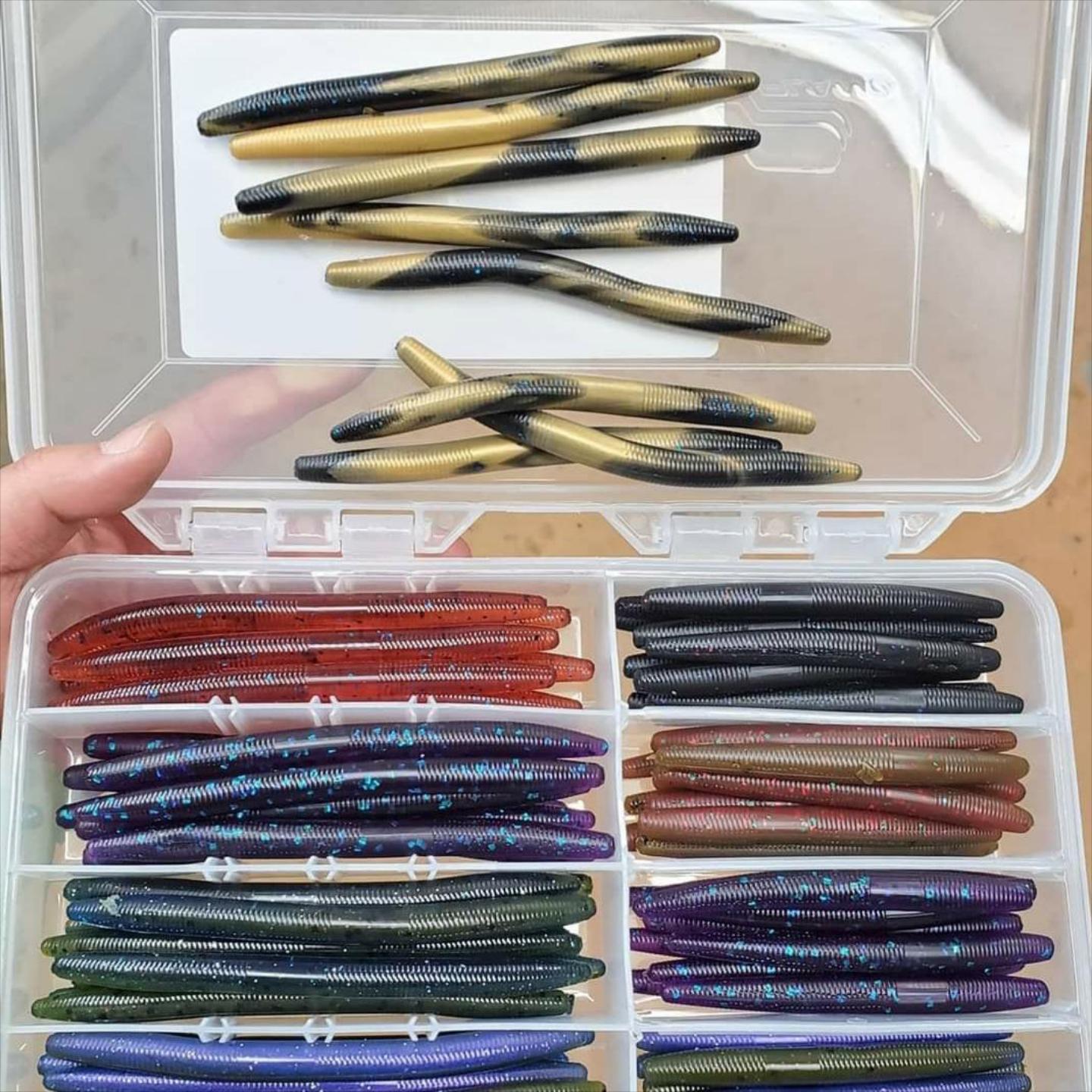 Worm Box-Random Assortment