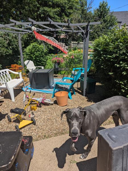 Duke formally known as Scooby