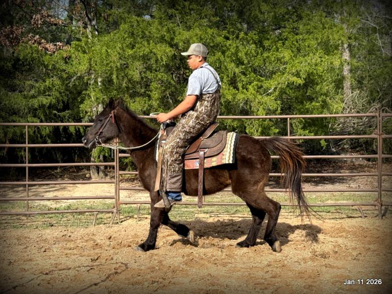 🩷❤️Pixie🩷❤️