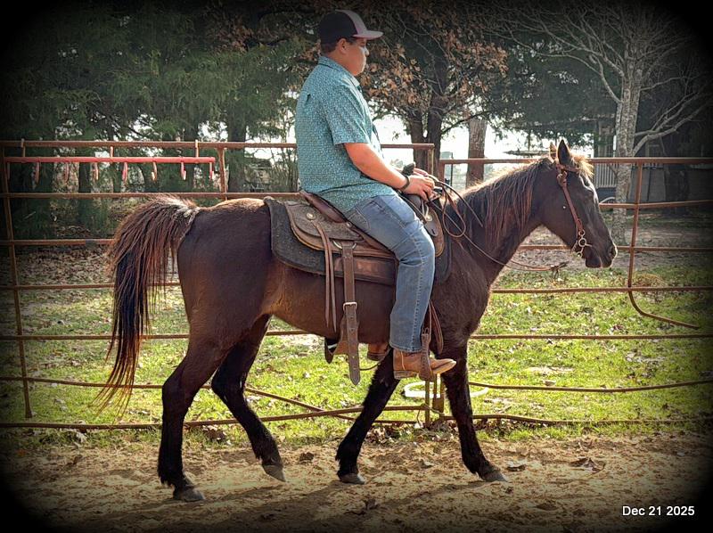 🩷❤️Pixie🩷❤️