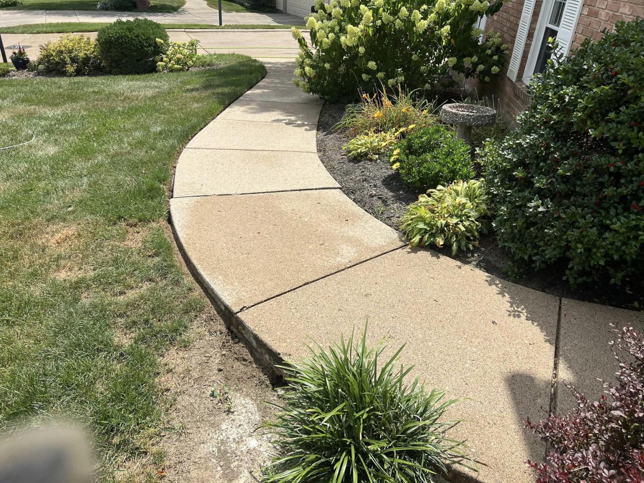 Driveway & Concrete Cleaning