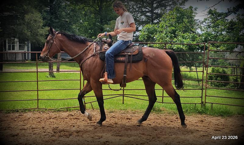 Darylslitlediablo (Diablo)