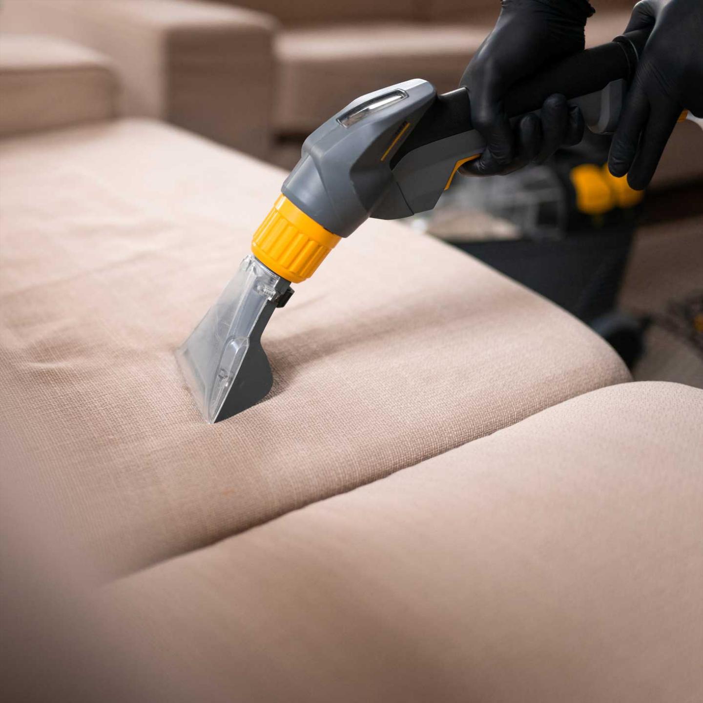 Upholstery Cleaning